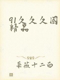 91久久久国产精品封面