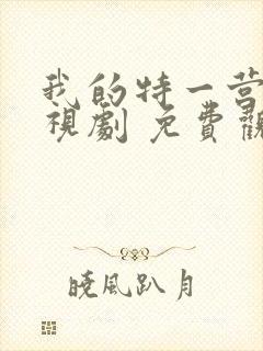 我的特一营 电视剧 免费观看