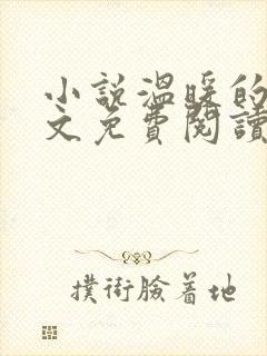 小说温暖的你全文免费阅读封面