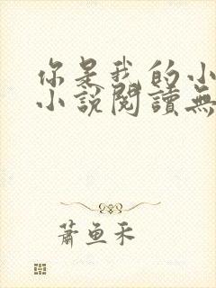 你是我的小确幸小说阅读无弹窗封面