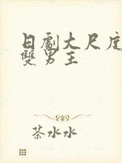 日剧大尺度推荐双男主