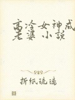 高冷女神成了我老婆 小说