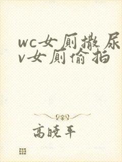 wc女厕撒尿tv女厕偷拍