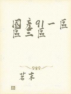 国产91一区二区三区