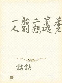 一胎二宝老婆大人别想逃免费阅读全文