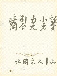 暗引力小说笔趣阁全文免费无弹窗