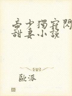 帝少独宠闪婚小甜妻小说