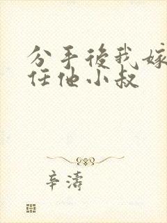 分手后我嫁给前任他小叔封面