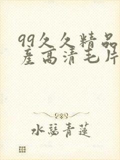 99久久精品国产高清毛片