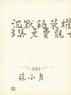 沉默的荣耀第33集免费观看封面