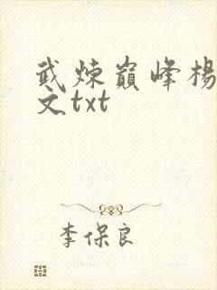 武炼巅峰杨开全文txt