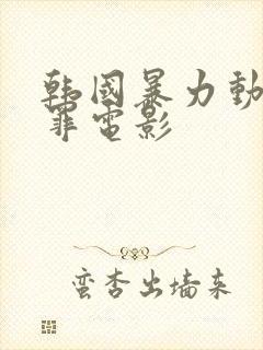 韩国暴力动作犯罪电影