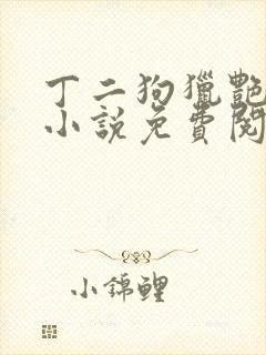 丁二狗猎艳人生小说免费阅读