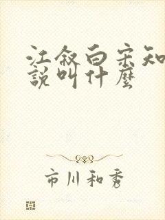 江叙白宋知意小说叫什么