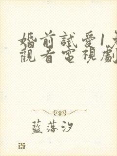 婚前试爱1免费观看电视剧陈