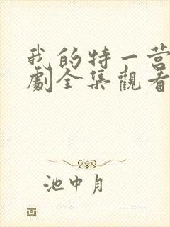 我的特一营电视剧全集观看免费封面