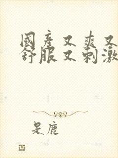 国产又爽又黄又舒服又刺激视频