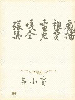 张嘎电视剧20集全免费播放封面