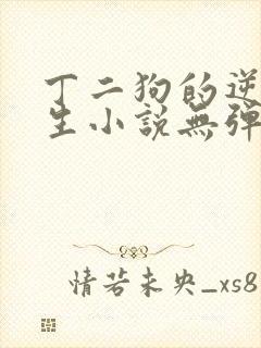 丁二狗的逆袭人生小说无弹窗