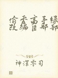 偷香高手绿帽版改编自哪部小说封面