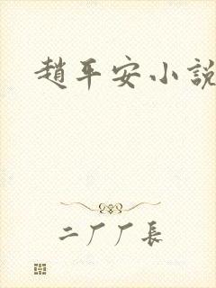 赵平安小说主角