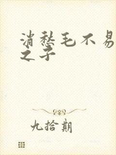 消愁毛不易明日之子