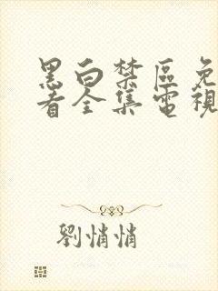 黑白禁区免费观看全集电视剧结局封面