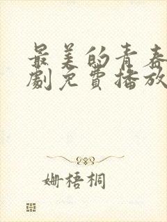 最美的青春电视剧免费播放完整版封面