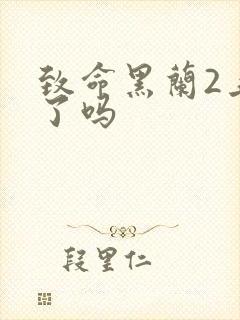 致命黑兰2上映了吗