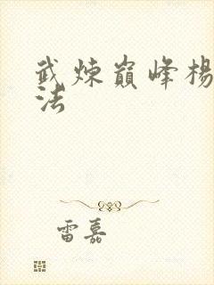 武炼巅峰杨开功法