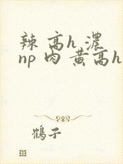 辣 高h 浓 np 肉 黄高h封面