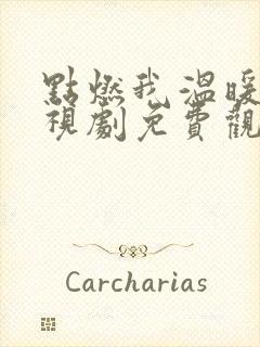 点燃我温暖你电视剧免费观看全集36