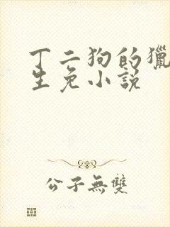 丁二狗的猎艳人生免小说