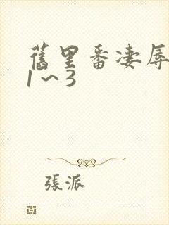 旧里番凄辱人妻1～3封面