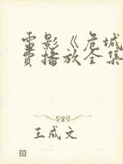 电影《危城》免费播放全集在线观看