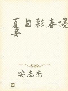 夏目彩春侵犯人妻封面