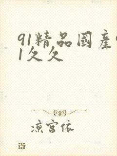 91精品国产91久久