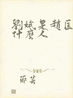 刘娥是赵匡胤的什么人