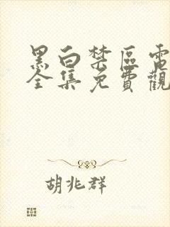 黑白禁区电视剧全集免费观看完整版