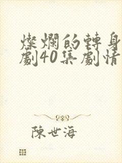 灿烂的转身电视剧40集剧情