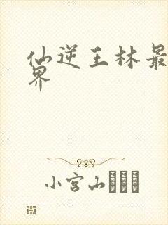 仙逆王林最后境界