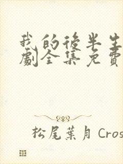 我的后半生电视剧全集免费播放高清星辰影院