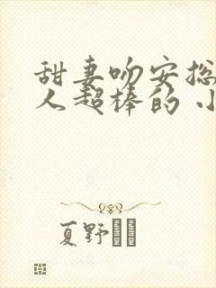 甜妻吻安总裁大人超棒的 小说