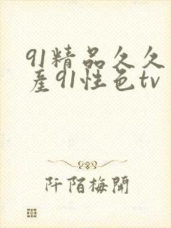 91精品久久国产91性色tv