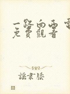 一路向西 电影免费观看封面