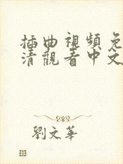 插曲视频免费高清观看中文版封面