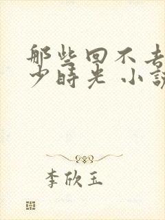 那些回不去的年少时光 小说