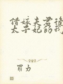 错嫁夫君后成了太子妃的我飘了小说