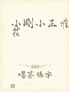 小刚小正催眠校花封面