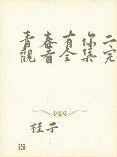 青春有你二免费观看全集完整版高清